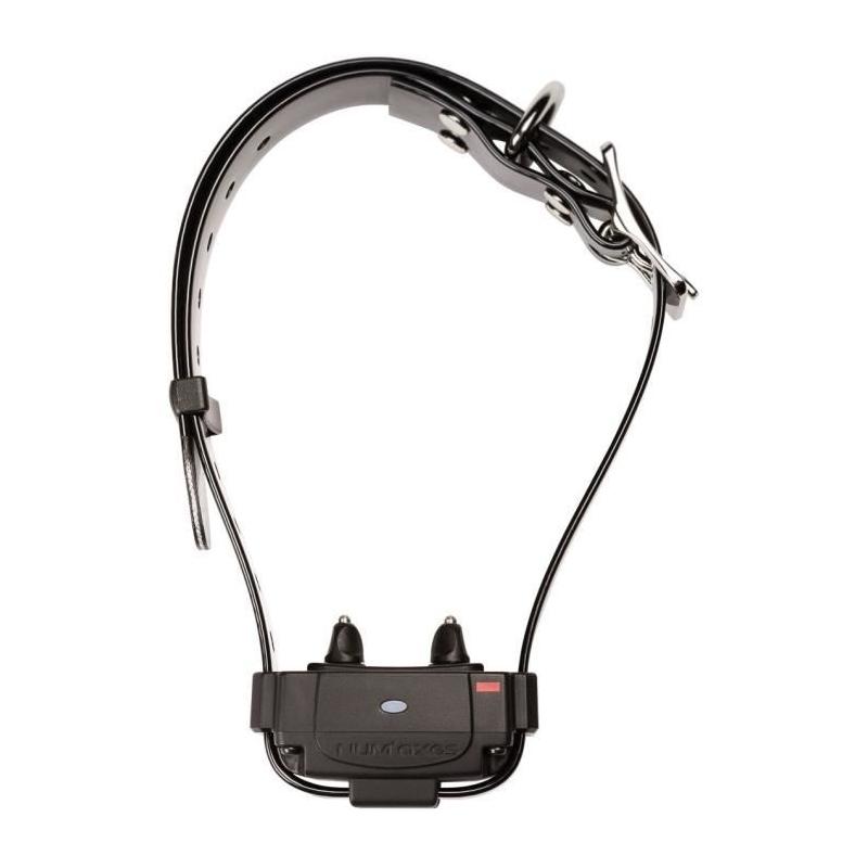 Collier anti-fugue NUM'AXES CANIFUGUE FUG1034 - Noir - Pack efficace