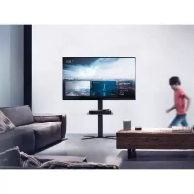 Support mural pour écran plat One For All WM 4672 - Colis compact de 120x44x11 cm