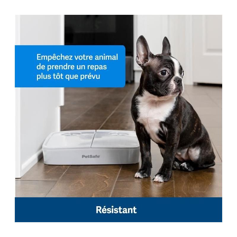 Distributeur automatique 2 repas PETSAFE - Sans BPA - 300g