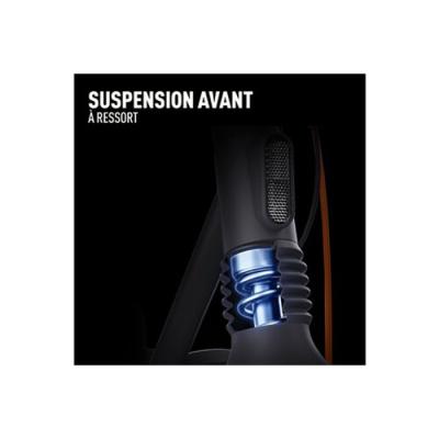 Trottinette électrique SEGWAY-NINEBOT F2 Pro E - 450W - 10 pouces