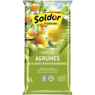 Terreau Agrumes et Plantes Méditerranéennes 6L - Sable de Qualité