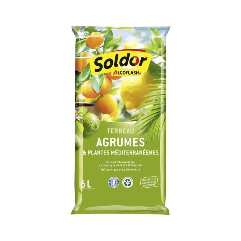 Terreau Agrumes et Plantes Méditerranéennes 6L - Sable de Qualité