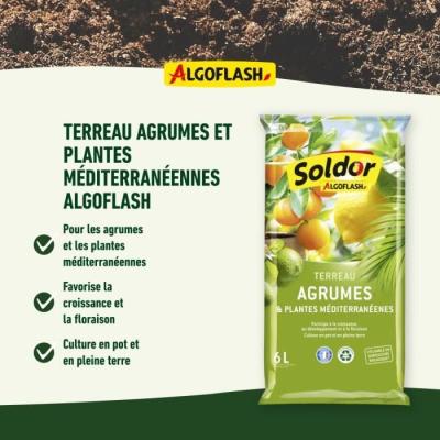 Terreau Agrumes et Plantes Méditerranéennes 6L - Sable de Qualité