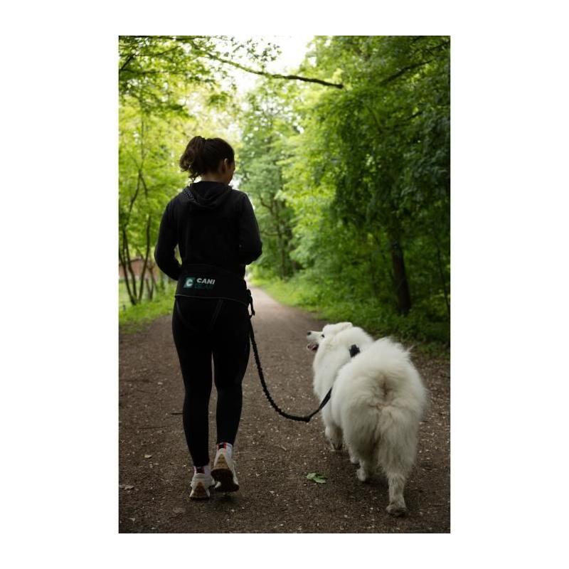 Baudrier SYMBIOZ Noir - Confort optimal pour votre animal