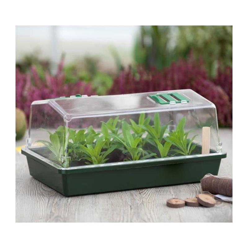 Mini-serre rigide - Couvercle ventilé - H18x37x24 cm - Vert