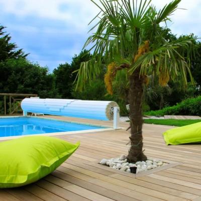 Pack Grand Rénovateur sur Pied + Brosses pour Surface au Sol
