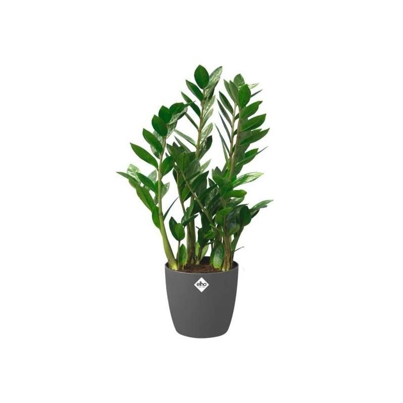 Pot de fleurs ELHO Brussels 40cm Noir - Roues - Intérieur recyclé