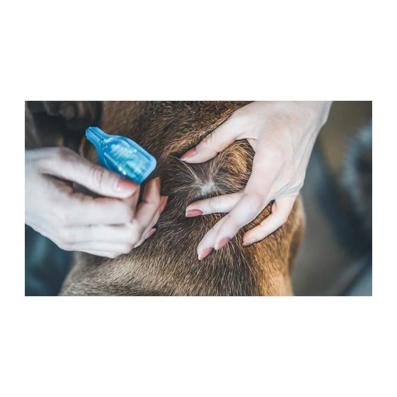 Lot de 2 pipettes VETOCANIS Action Duo Spot on - Grand chien