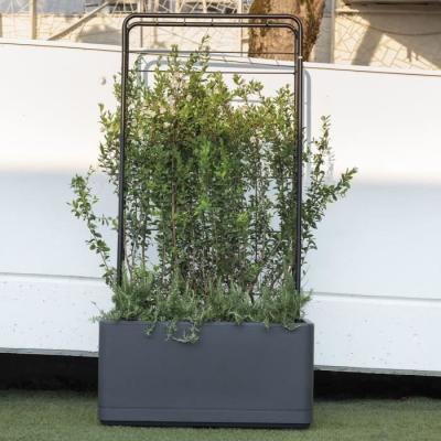 Jardinière Muret DEROMA Cosmo Anthracite - Réserve d'eau - Roulettes