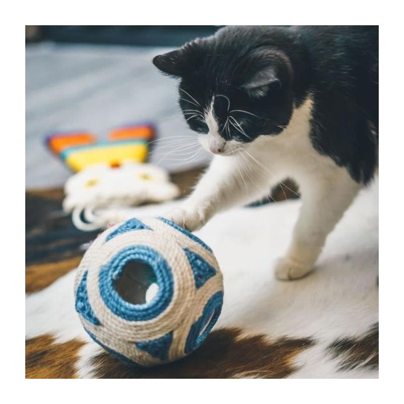 Griffoir XXL AIMÉ - Boule Bleue + 1 Balle 11.5cm
