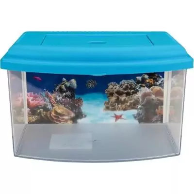 Bac de transport AIMÉ - Pratique et compact - 22 x 16 x 14,5 cm