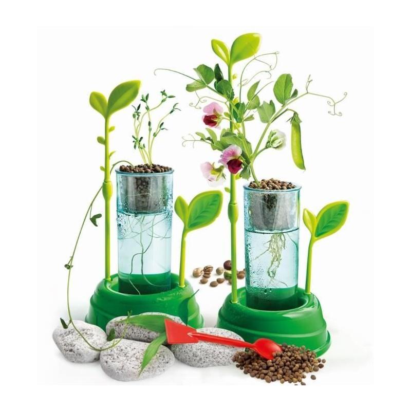 Découverte de la botanique et hydroponie - Kit scientifique innovant