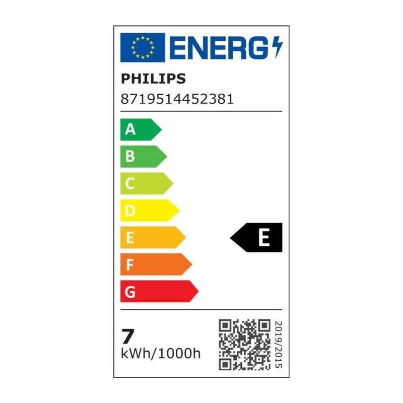 Ampoule LED PHILIPS 100 W - Blanc froid - Lot de 3