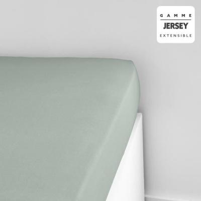 Drap housse TODAY Essential en coton jersey - 100% Coton - Celadon
