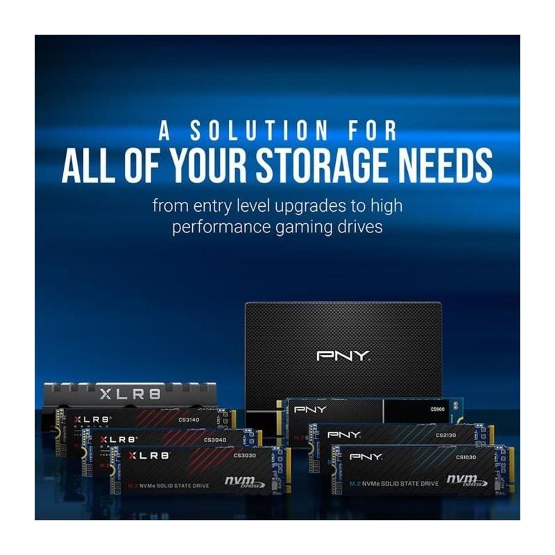 SSD PNY CS1030 - 500 Go M.2 2280 - Compact et Performant