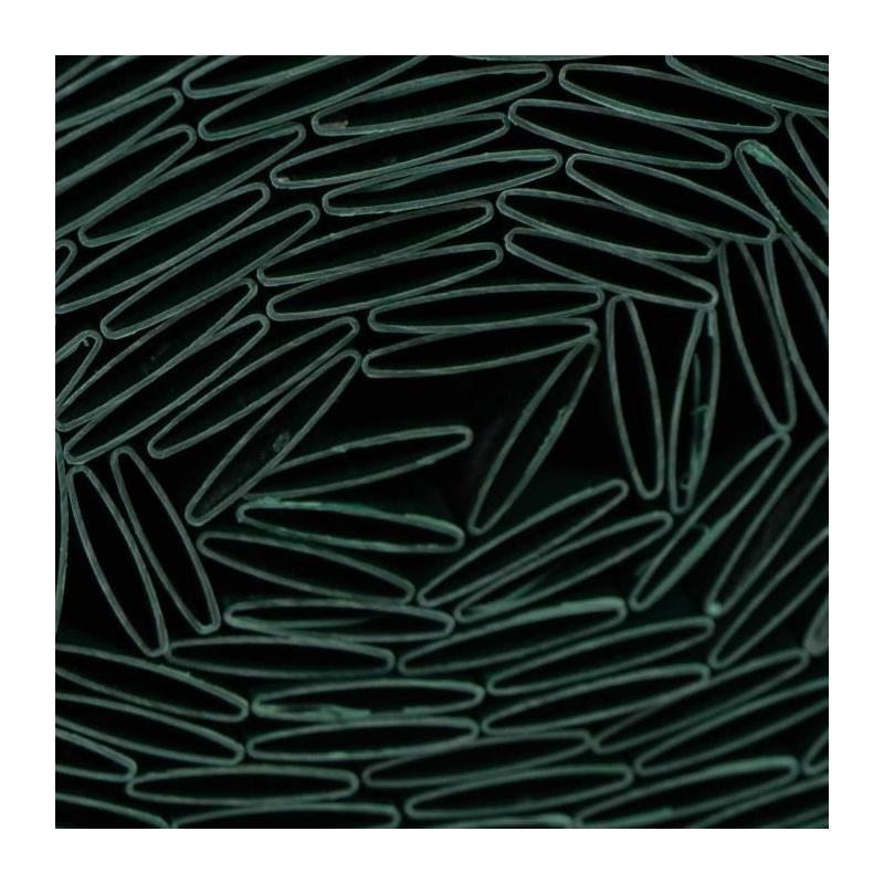Canisse PVC double face NATURE 1 x 3 m - Occultant 4/5