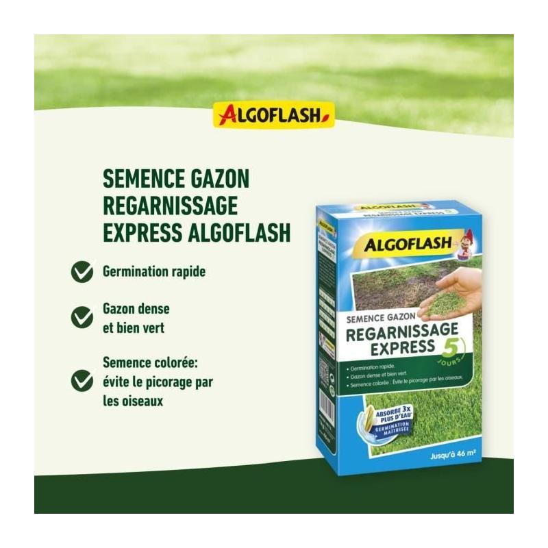 Semences Gazon Regarnissage Express 5 jours 3 kg - Réensemencement rapide!