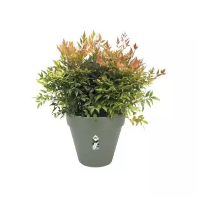Pot de fleur rectangle VIBIA - Plastique - Réservoir - Vert Pot de fleur rectangle VIBIA - Plastique - Réservoir - Vert