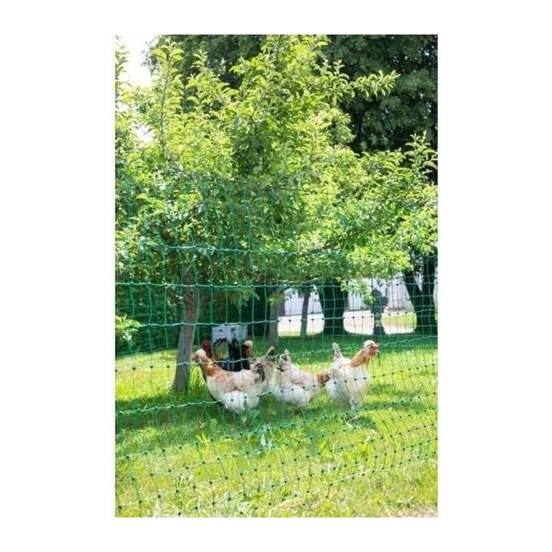 Filet pour poules 50m - Double pointe - Vert - Non électrique