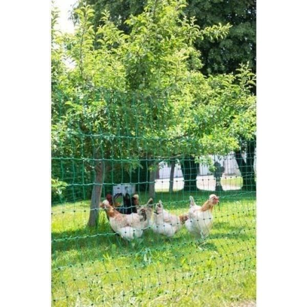 KERBL - Filet pour les poules 50 m - 106 cm - double pointe - vert - non électrique