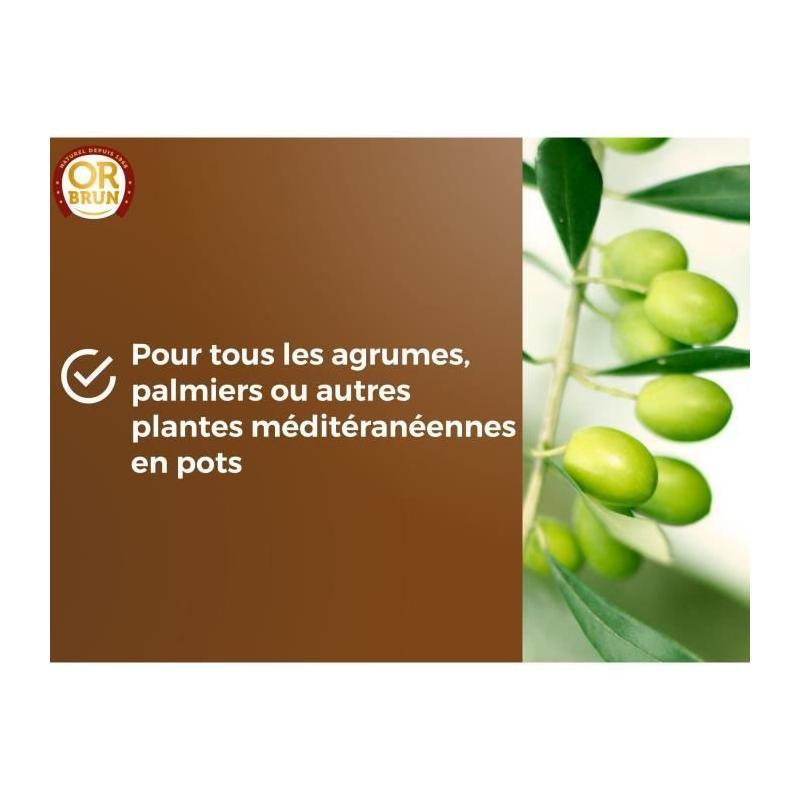 Terreau agrumes et plantes méditerranéennes 20 L - OR BRUN