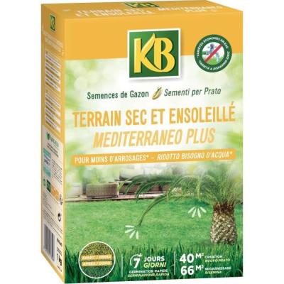 Graines de gazon pour sol sec et ensoleillé 40m² - Pack compact