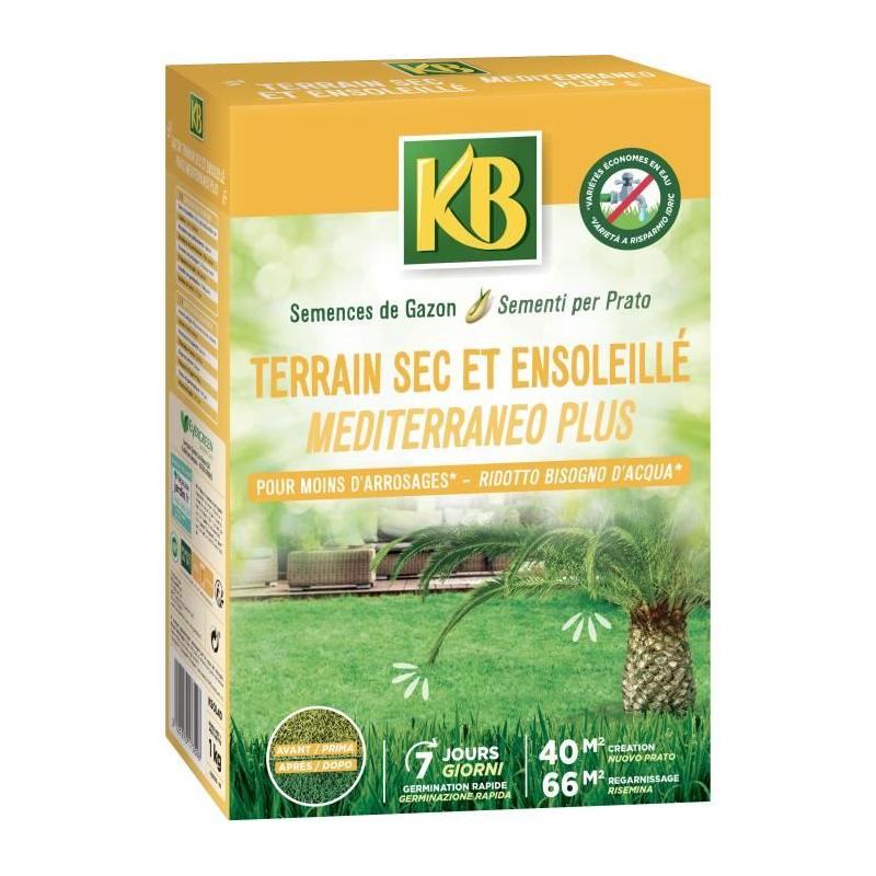 Graines de gazon pour sol sec et ensoleillé 40m² - Pack compact