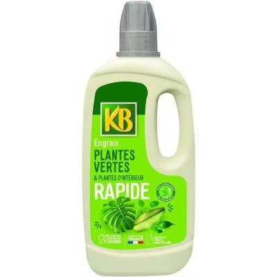 Engrais Rapide pour Plantes Vertes Intérieur 1L - Boostez leur croissance!