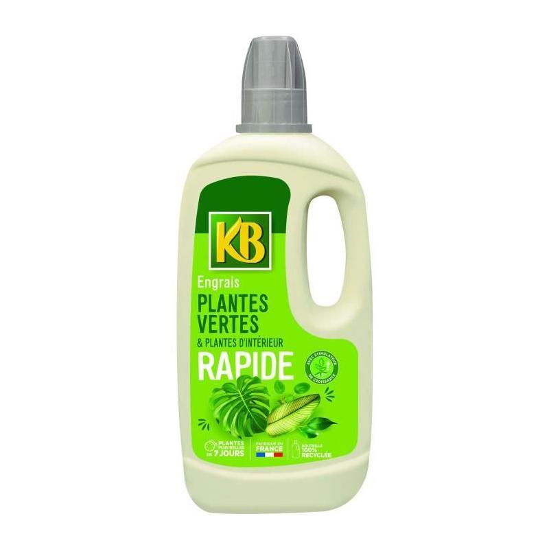Engrais Rapide pour Plantes Vertes Intérieur 1L - Boostez leur croissance!