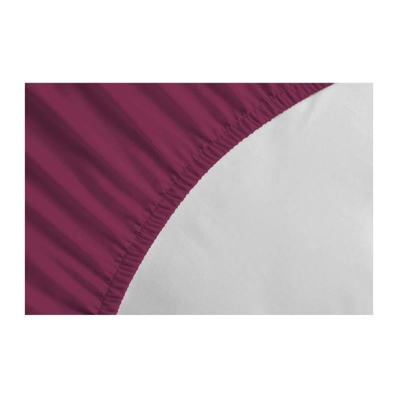 Drap-housse Fuchsia - LOVELY HOME LH71609 - 140x190+35 cm