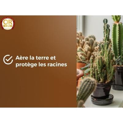 Substrat cactus & Plantes grasses - OR BRUN - Favorise croissance