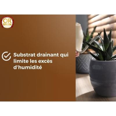 Substrat cactus & Plantes grasses - OR BRUN - Favorise croissance