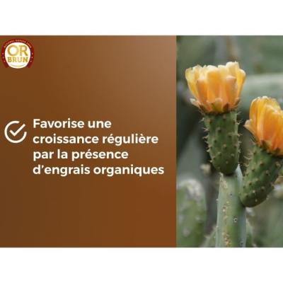 Substrat cactus & Plantes grasses - OR BRUN - Favorise croissance
