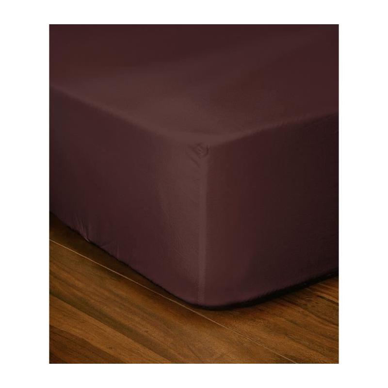 Drap-housse - LOVELY HOME - LH71595 - 160x200+30 cm - Marron - Plus responsable