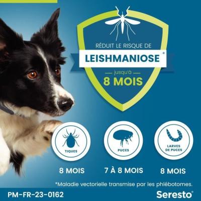Collier anti-puces et anti-tiques pour grand chien - Lot de 2