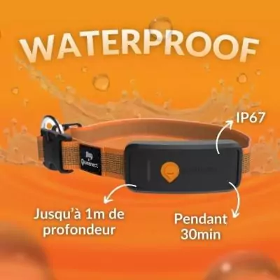 Collier GPS pour chien WEENECT Chien XT - Orange
