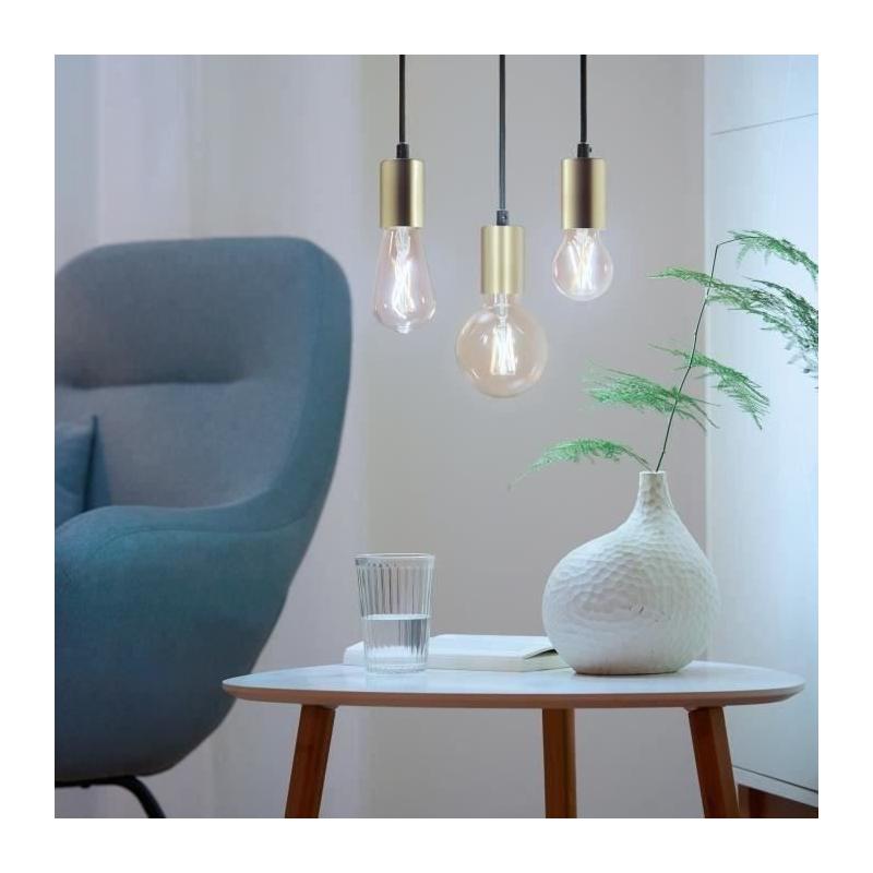 Kit de démarrage WiZ 2 ampoules connectées Edison Blanc variable E27 50W + Télécommande variateur