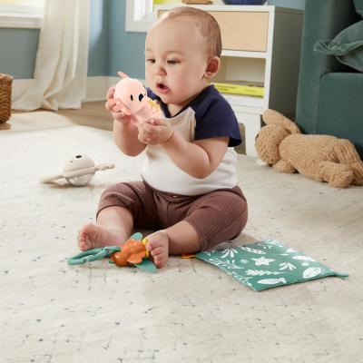 Fisher-Price – Coffret Les Sens en Éveil