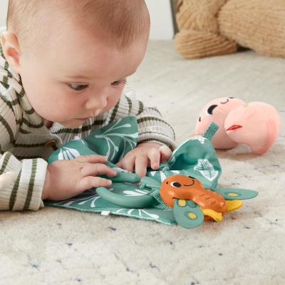 Fisher-Price – Coffret Les Sens en Éveil