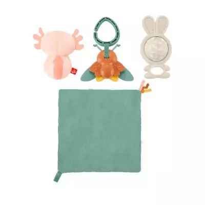 Fisher-Price – Coffret Les Sens en Éveil