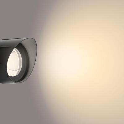 Philips Spots au sol piquets pics 6W