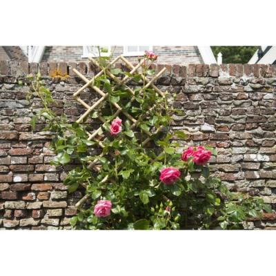 Treillis extensible en bambou - Naturel - 45 x 180 cm