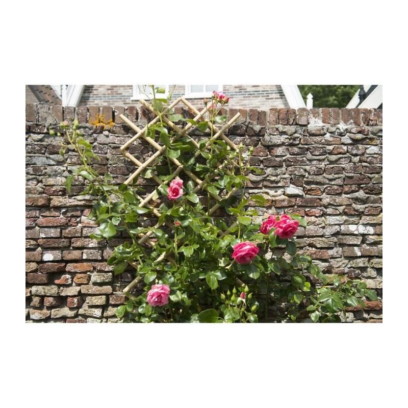Treillis extensible en bambou - Naturel - 45 x 180 cm