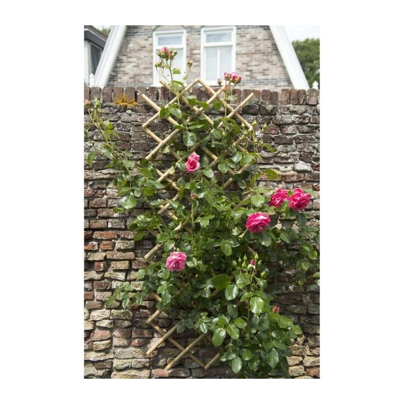 Treillis extensible en bambou - Naturel - 45 x 180 cm