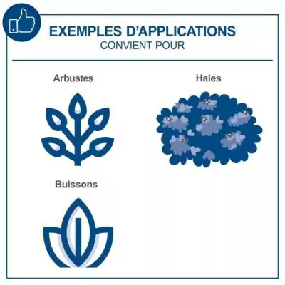 Taille-haies sans fil C-HT570-X - Coupe 51cm - SCHEPPACH 20V IXES