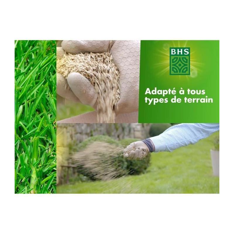 Gazon Rustique BHS - 5kg - Jardins Traditionnels - Dense & Esthétique