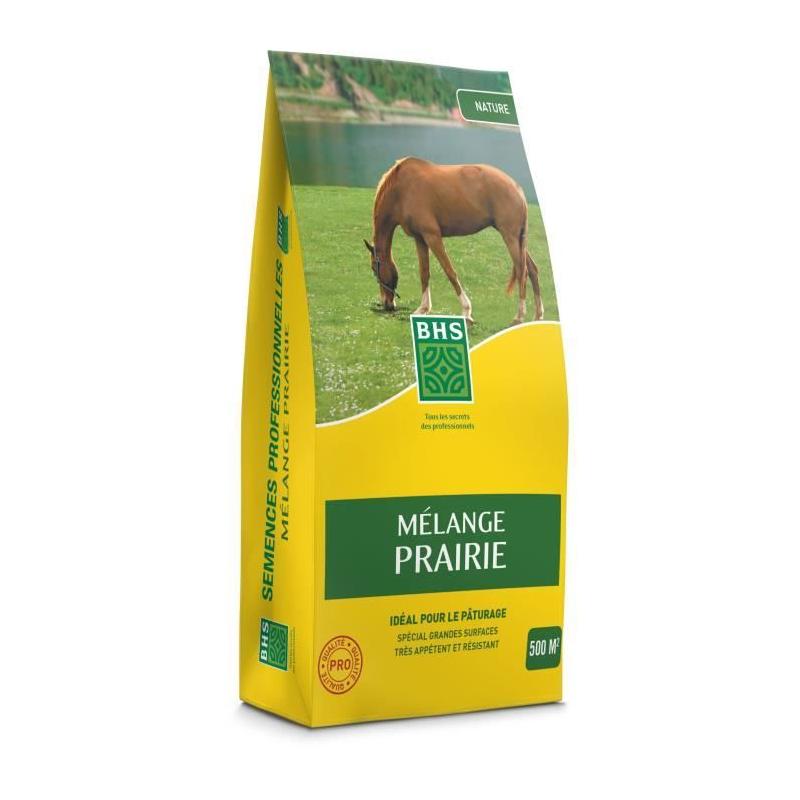 Gazon BHS Mélange Prairie 5kg | Résistant et sans entretien