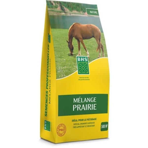 Gazon - BHS - Mélange Prairie 5kg | 500m² | Pour zones extensives et pâturage | Installation rapide, résistant, sans entreti