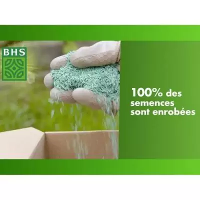 Gazon BHS Mélange Prairie 5kg | Résistant et sans entretien