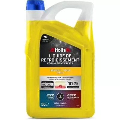Liquide de Refroidissement HOLTS Renault-Dacia Type D 5L + Bec